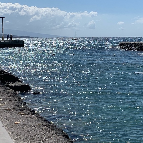 Meet your Posher, Marcy - Picture 1 of 1